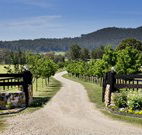 Pemberley Grange Hunter Valley Getaway - Tourism Adelaide
