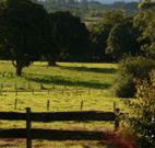 Pines on the Plateau - Tourism Adelaide