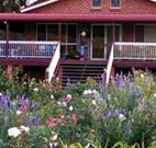 Rose Patch Bed and Breakfast - Tourism Adelaide