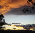 Silkwood B and B - Tourism Adelaide