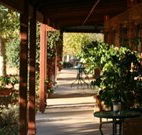The Vineyard Motel - Tourism Adelaide