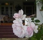 White House Heritage Guesthouse - Tourism Adelaide