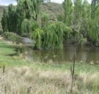 Cedar Grove - Tourism Adelaide