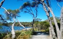 Emma's Cottage Vineyard - Tourism Adelaide 5