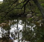In Essentia Healing Hut of Kangaroo Valley - Tourism Adelaide