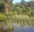 Fosterton Lodge Retreat - Tourism Adelaide