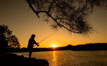 Oakbourne Cottage, Gingers Creek - Tourism Adelaide 5