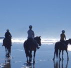 The Hayloft - Tourism Adelaide