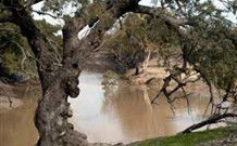Valley View Cottage Hunter Valley - Tourism Adelaide 0