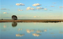 Valley View Cottage Hunter Valley - Tourism Adelaide 4