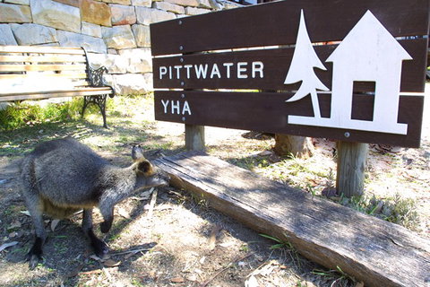 Sydney - Pittwater YHA - Tourism Adelaide 9