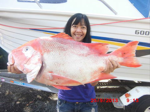 Flying Fish Point Tourist Park - Tourism Adelaide 6