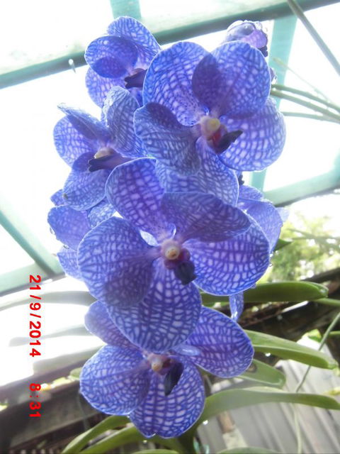 Flying Fish Point Tourist Park - Tourism Adelaide 8