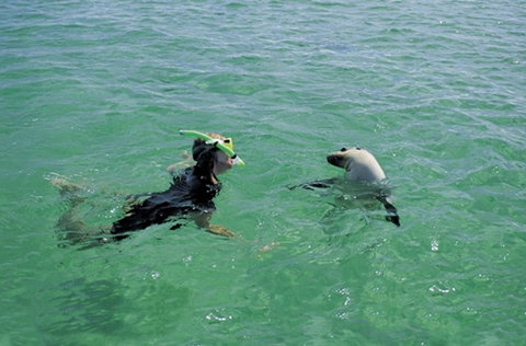 Coodlie Park - Port Kenny - Venus Bay - Tourism Adelaide 3