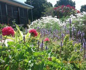 Eastwood Farm - Tourism Adelaide 0