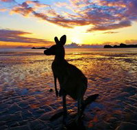 Cape Hillsborough Nature Tourist Park - Tourism Adelaide
