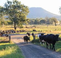 Tommerups Dairy Farmstay - Tourism Adelaide