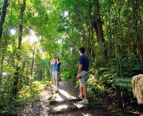 O'Reilly's Rainforest Retreat - Tourism Adelaide 2