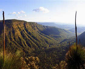 O'Reilly's Rainforest Retreat - Tourism Adelaide 3