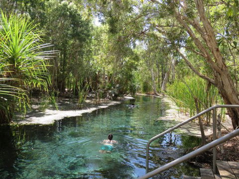Bitter Springs Cabins And Camping - Tourism Adelaide 6