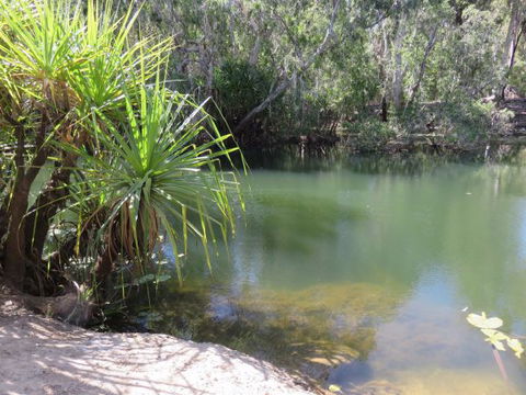 Bitter Springs Cabins And Camping - Tourism Adelaide 7