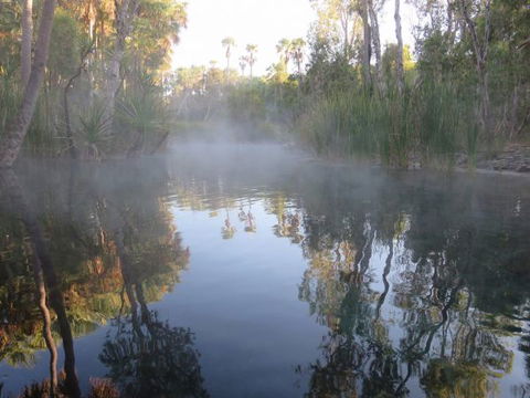Bitter Springs Cabins And Camping - Tourism Adelaide 8