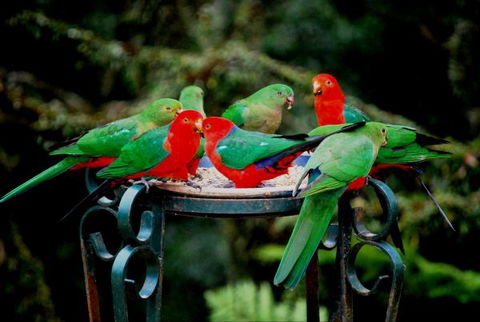 Huntington Cottage - Tourism Adelaide 8