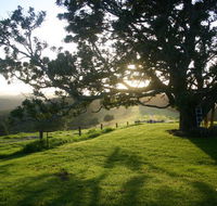 Kilfeacle Farm Cottage - Tourism Adelaide