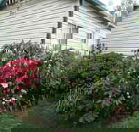 Jenolan Caravan Park - Tourism Adelaide