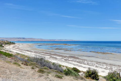 Century 21 SouthCoast: Glayva's 11 - Tourism Adelaide 0