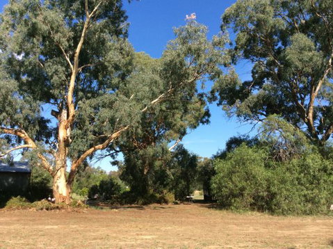 Balcraggon Accommodation - Tourism Adelaide 3