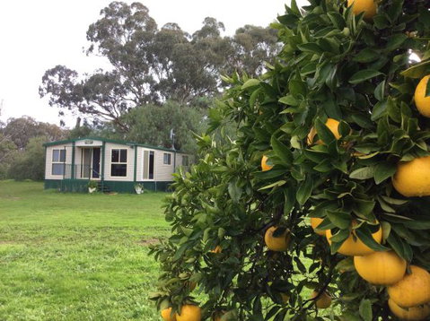 Balcraggon Accommodation - Tourism Adelaide 9