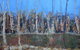 Gallery Blackheath - thumb 1