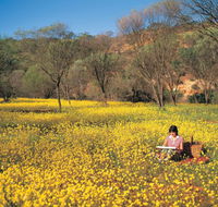 Miners Camp at Coalseam National Park - Tourism Adelaide