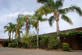 Darling Junction Motel - Tourism Adelaide 2