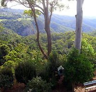 Mt Tamborine Motel - Tourism Adelaide
