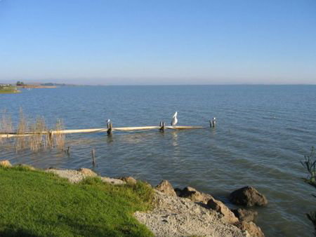 Lake Albert Caravan Park - Tourism Adelaide 5