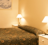 Best Western Abel Tasman Airport Motor Inn - Tourism Adelaide