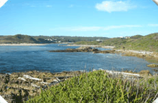 Arthur River Cabin Park - Tourism Adelaide 5