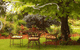 Glencoe Country Bed And Breakfast - thumb 1