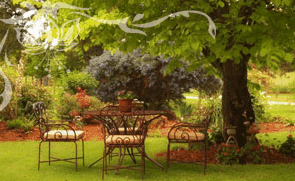 Glencoe Country Bed And Breakfast - Tourism Adelaide 1