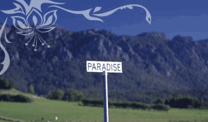Glencoe Country Bed And Breakfast - Tourism Adelaide 2