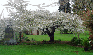 Glencoe Country Bed And Breakfast - Tourism Adelaide 3