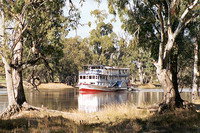 Mildura Plaza Motor Inn - Tourism Adelaide 4