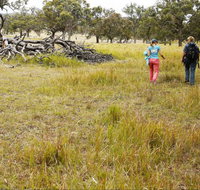 Carnarvon National Park camping - Tourism Adelaide