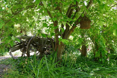 Willowbrook Heritage Bed & Breakfast - Tourism Adelaide 7