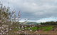 Barossavilla Guest House - thumb 9