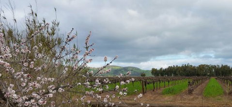 Barossavilla Guest House - Tourism Adelaide 9