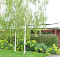 Birralee Cottage - Tourism Adelaide