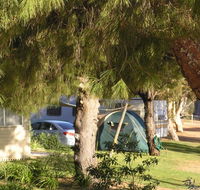 Barmera North Lake Caravan Park - Tourism Adelaide